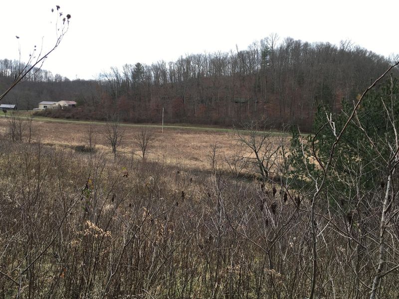 960 Rockcamp Road, New Marshfield, OH 45766 Photo 69