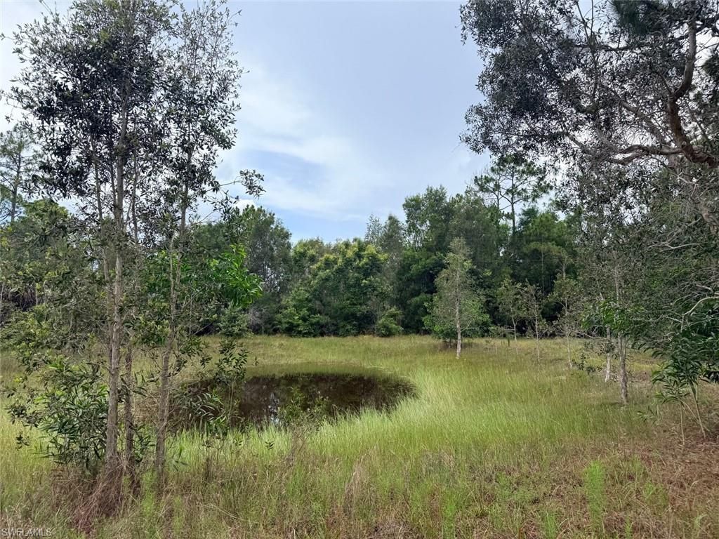 920 Sanctuary Rd W, Naples, FL 34120 Photo