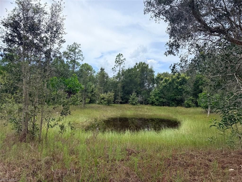 920 Sanctuary Rd W, Naples, FL 34120 Photo
