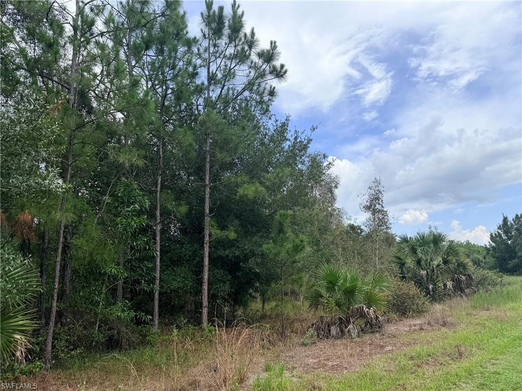 920 Sanctuary Rd W, Naples, FL 34120 Photo