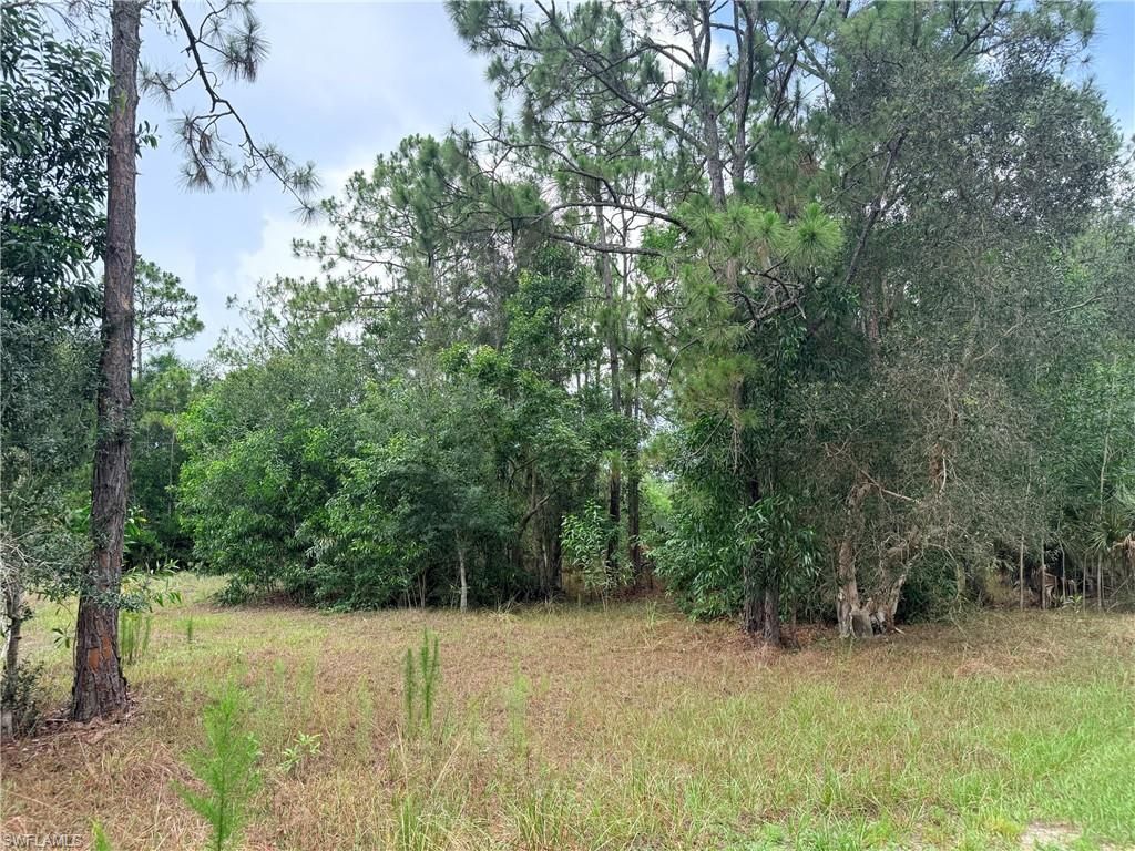 920 Sanctuary Rd W, Naples, FL 34120 Photo