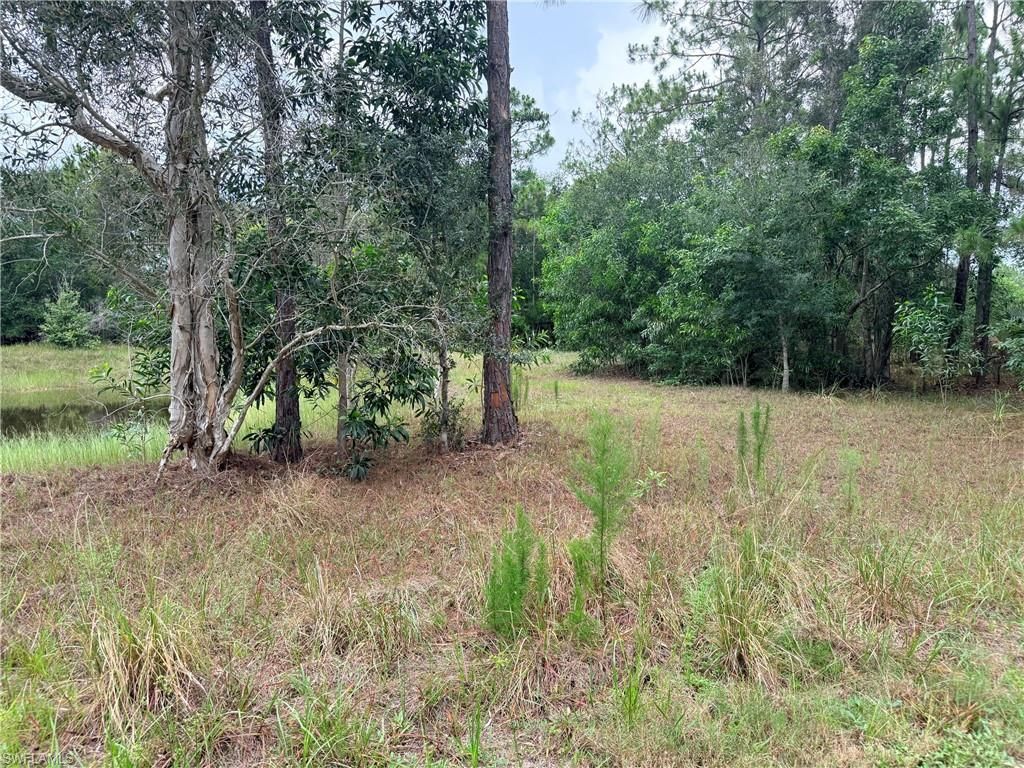 920 Sanctuary Rd W, Naples, FL 34120 Photo