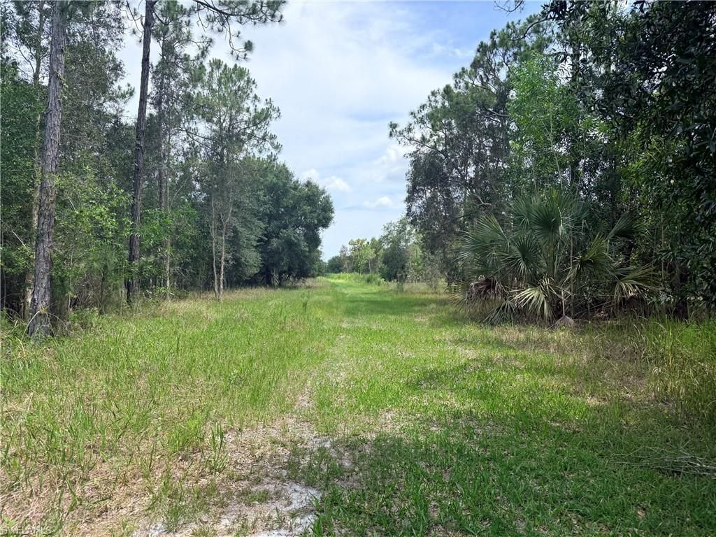 920 Sanctuary Rd W, Naples, FL 34120 Photo
