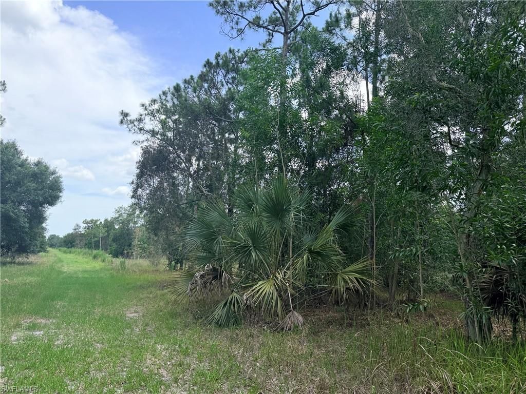 920 Sanctuary Rd W, Naples, FL 34120 Photo