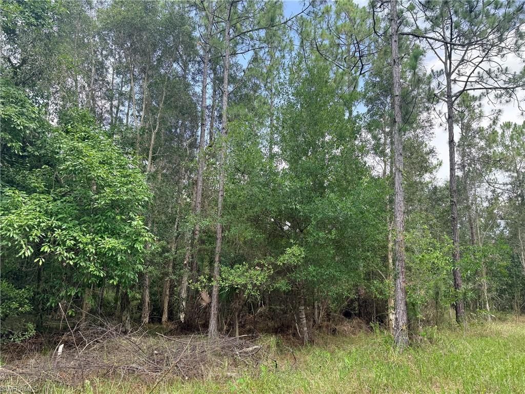 920 Sanctuary Rd W, Naples, FL 34120 Photo