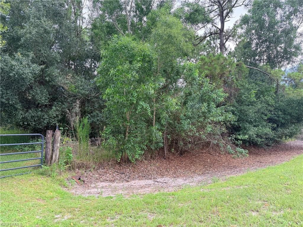920 Sanctuary Rd W, Naples, FL 34120 Photo