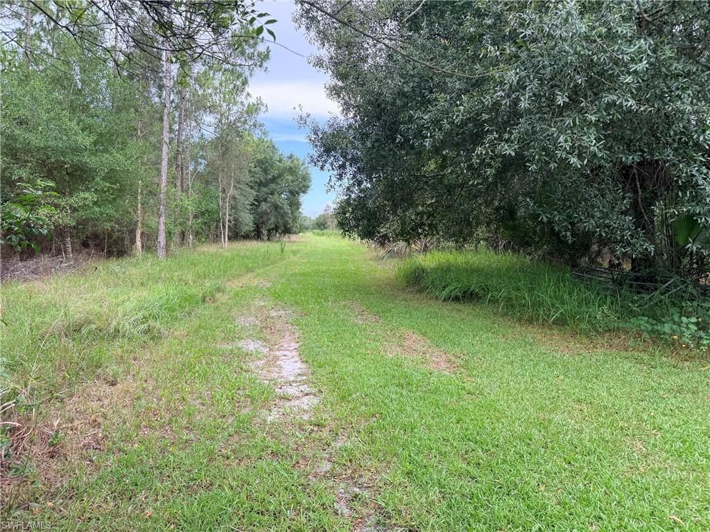 920 Sanctuary Rd W, Naples, FL 34120 Photo