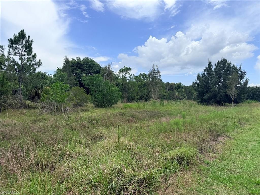 920 Sanctuary Rd W, Naples, FL 34120 Photo