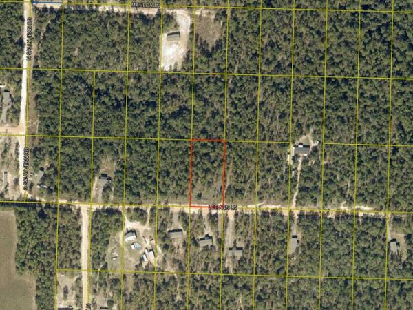 xxx Lee Ann Lane, DeFuniak Springs, FL 32433