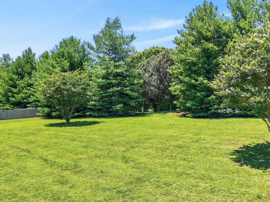 Property Image 84