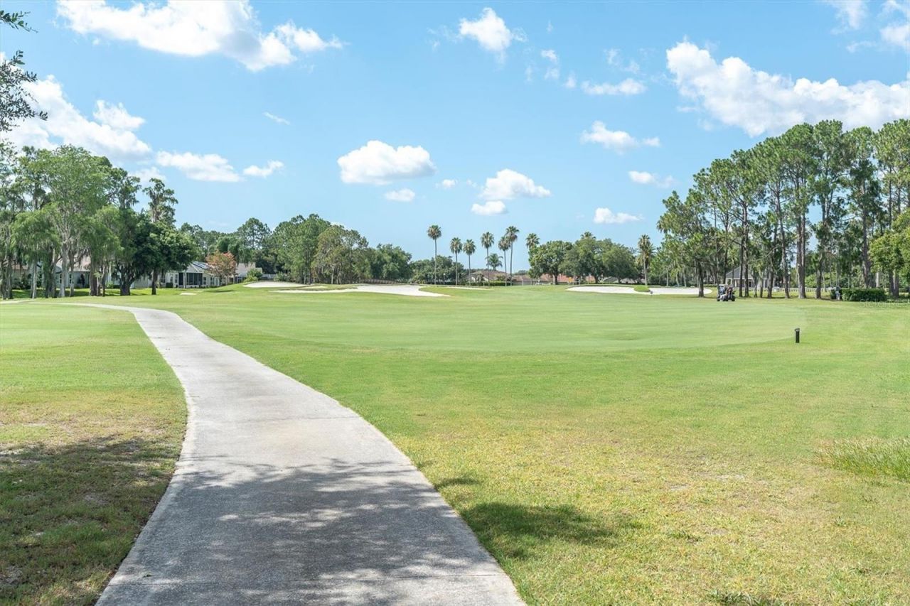1510 Morning Rose Place , Trinity, FL 34655 Photo