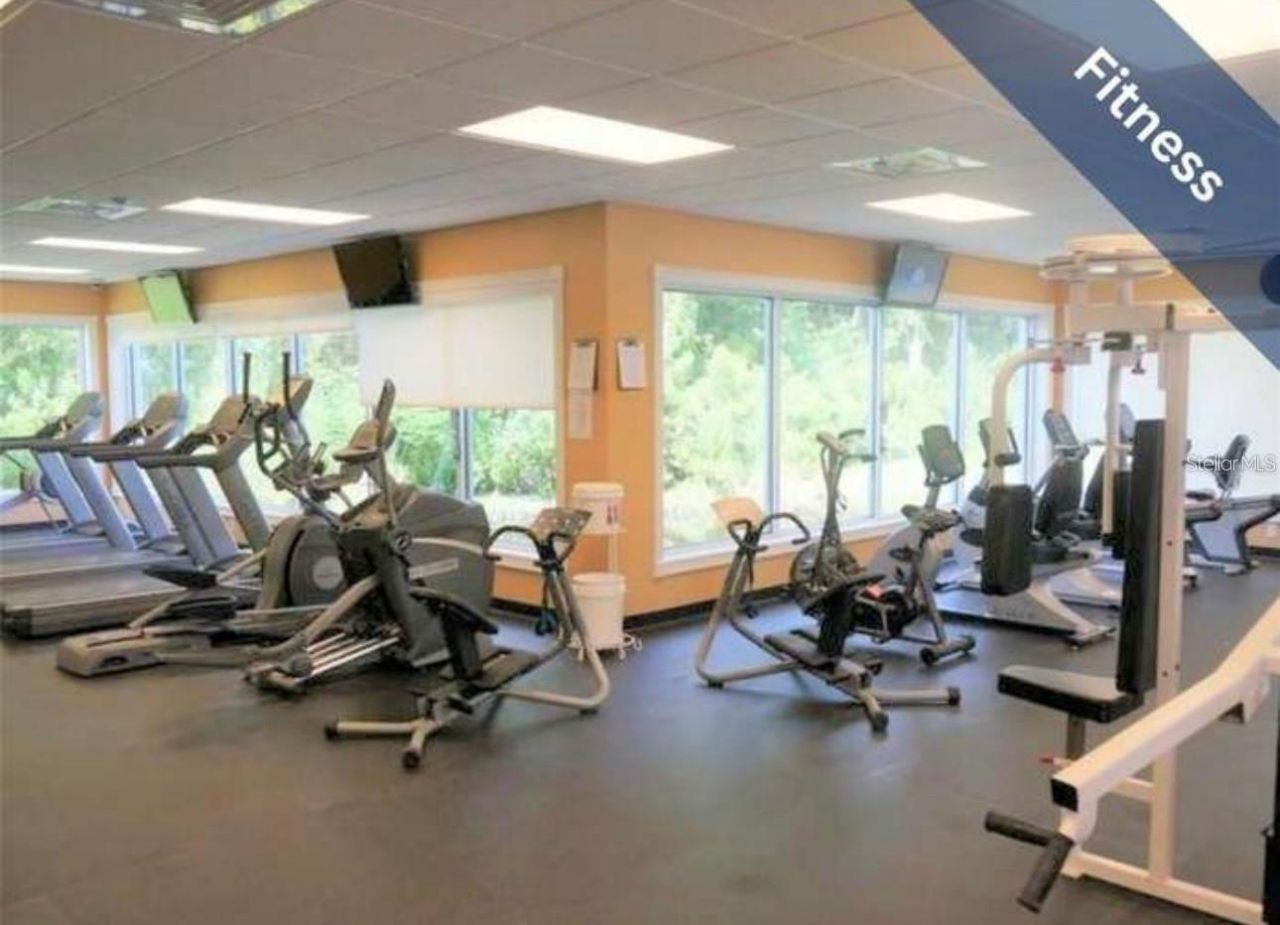 1510 Morning Rose Place , Trinity, FL 34655 Photo
