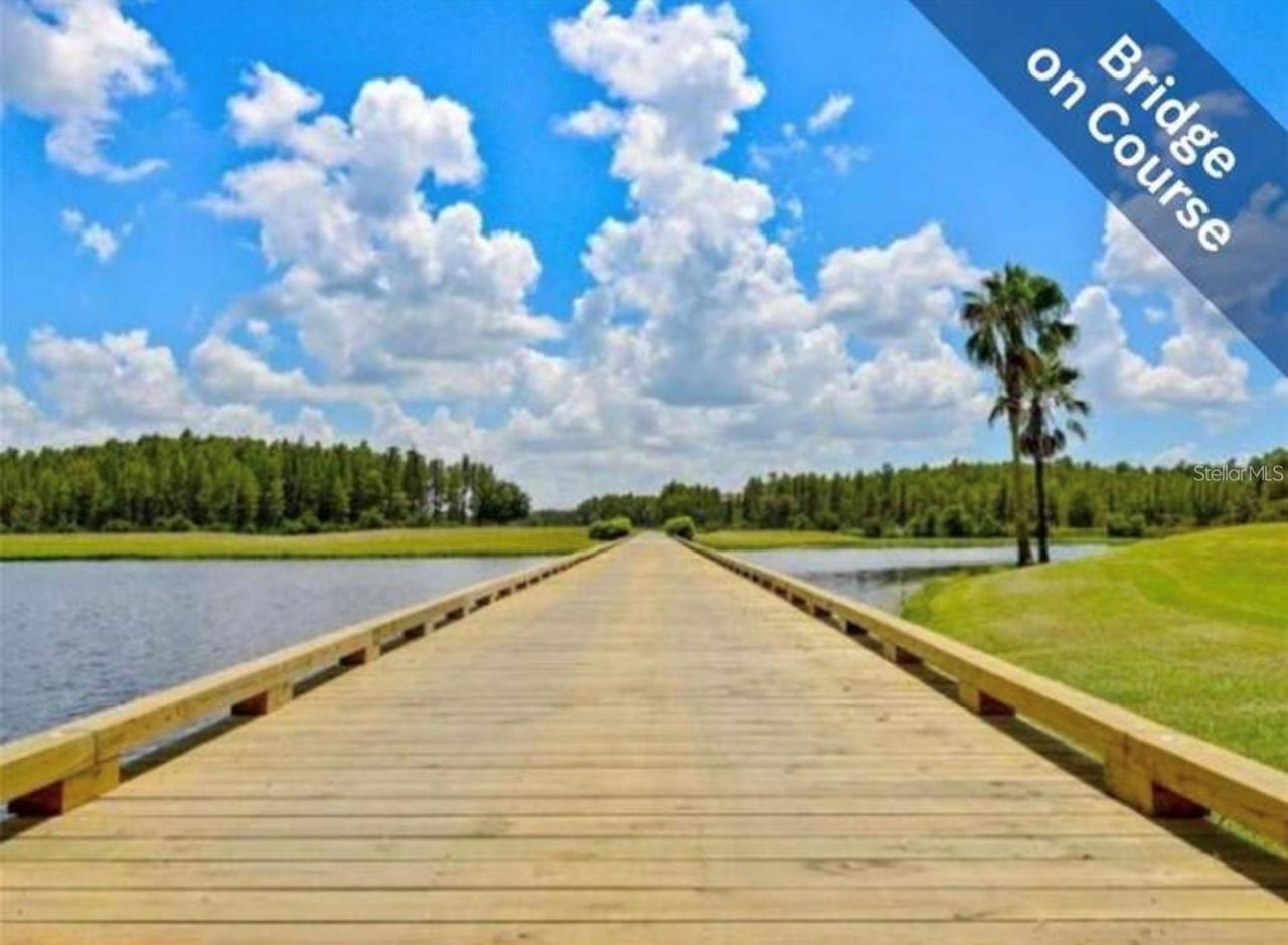 1510 Morning Rose Place , Trinity, FL 34655 Photo