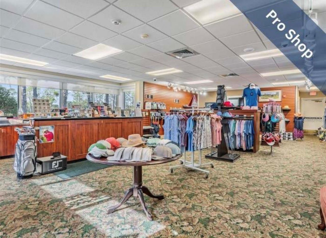 1510 Morning Rose Place , Trinity, FL 34655 Photo