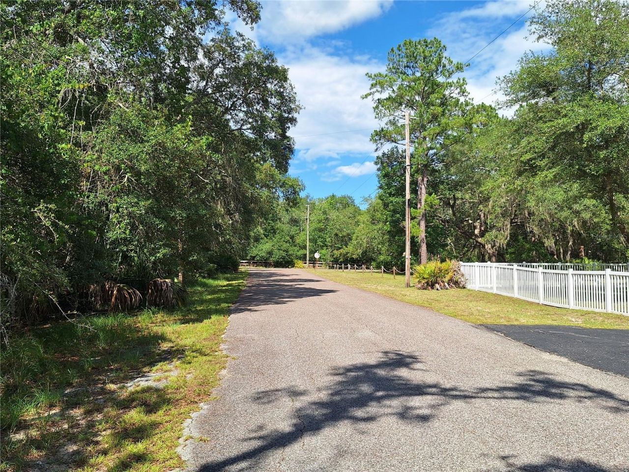 8213 Riverview Road , Fanning Springs, FL 32693 Photo