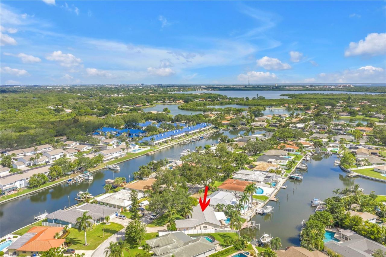 1820 Tanglewood Drive Ne, Saint Petersburg, FL 33702 Photo