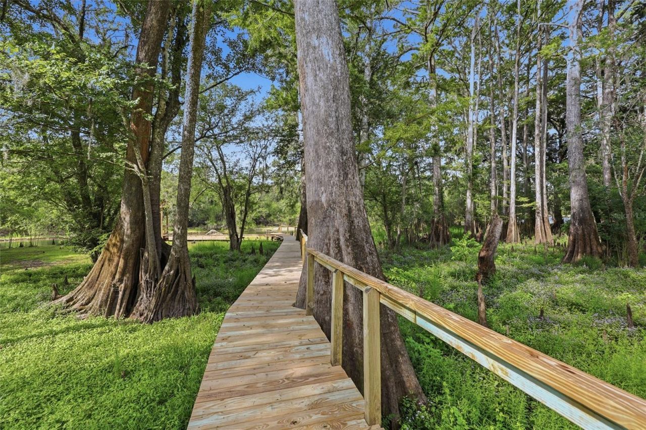 470 SW Santa Fe Drive, Fort White, FL 32038 Photo