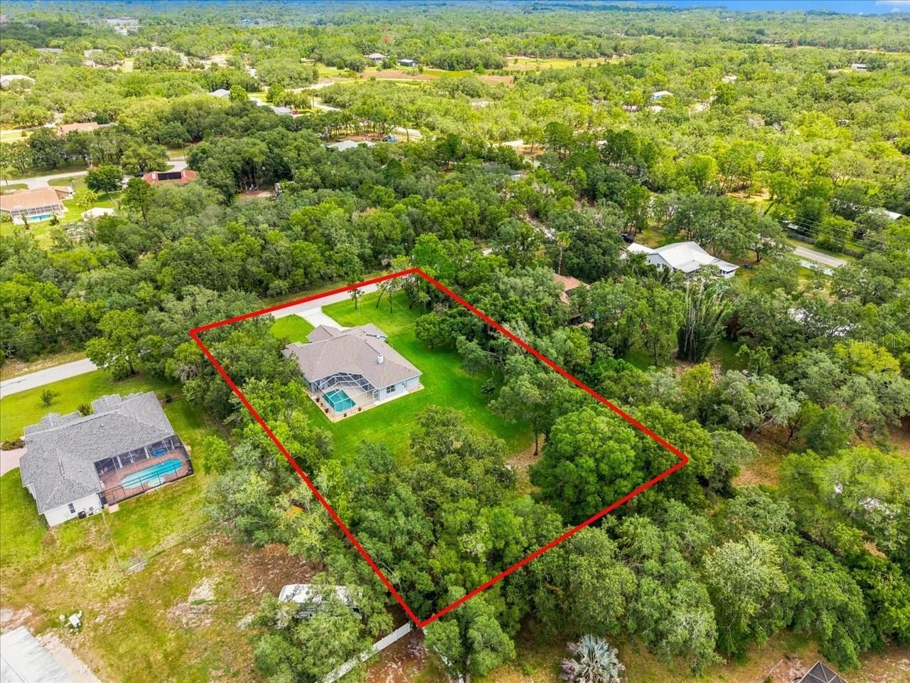 12906 Oakeller Drive , Hudson, FL 34667 Photo