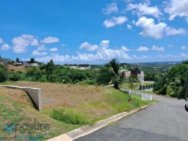 Carr 858 COJOBA, Carolina, PR 00987