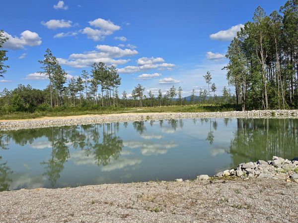 15+/- AC Red Hill Rd, Sunbright, TN 37872