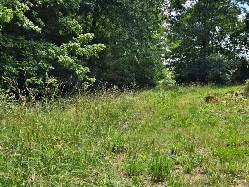 25 Leaning Oak Road, Corinth, KY 41010 Photo 11