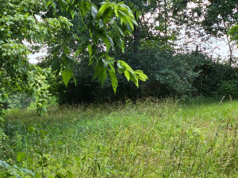 25 Leaning Oak Road, Corinth, KY 41010 Photo 12