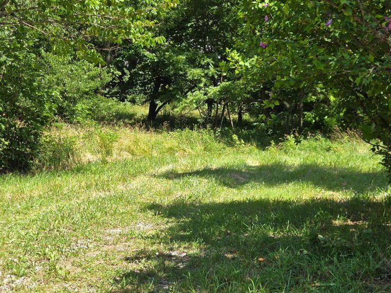 25 Leaning Oak Road, Corinth, KY 41010 Photo 3