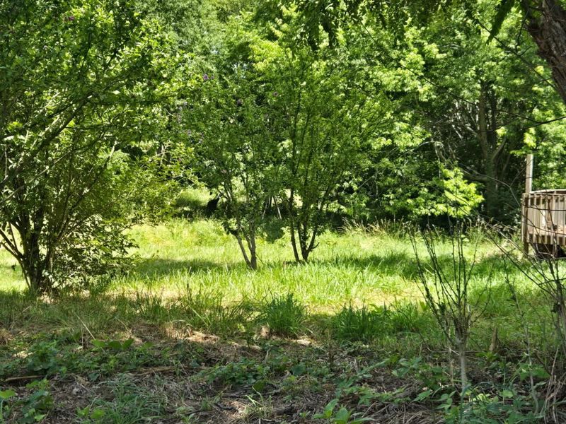 25 Leaning Oak Road, Corinth, KY 41010 Photo 5