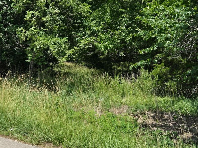 25 Leaning Oak Road, Corinth, KY 41010 Photo 9
