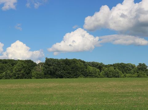 Main Photo