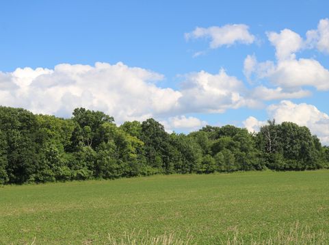 Main Photo