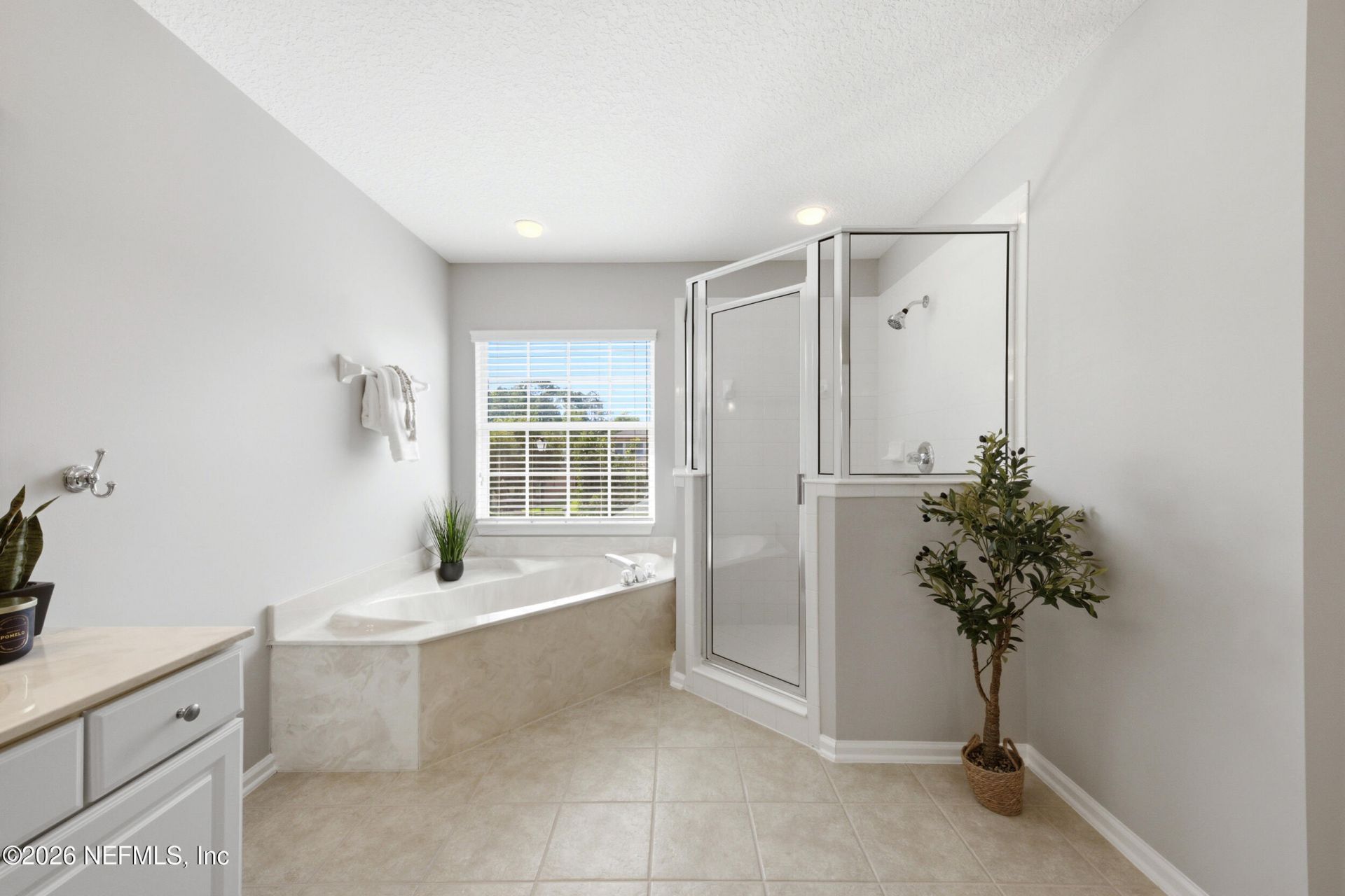 1555 Summerdown Way, Saint Johns, FL 32259 Photo