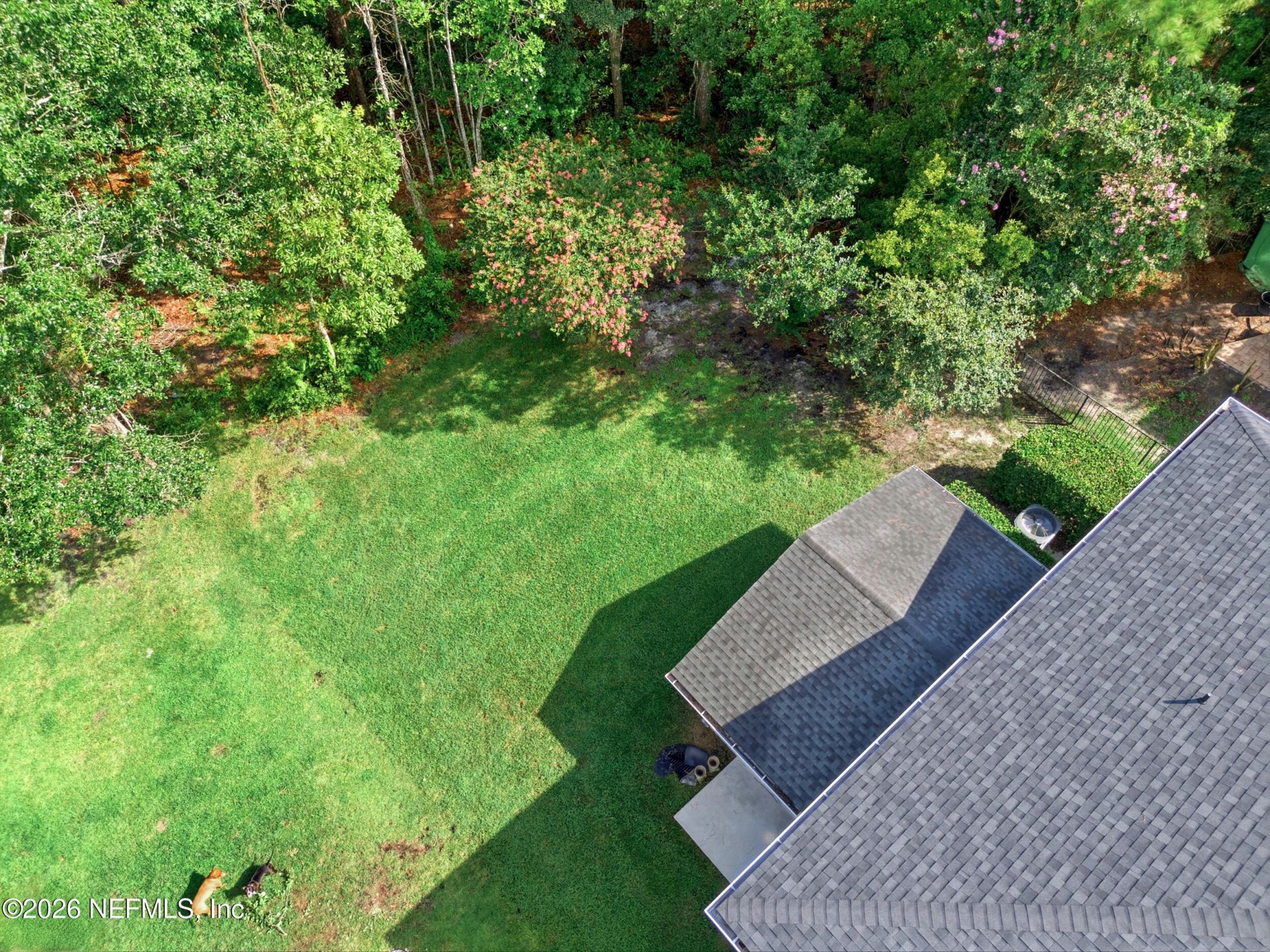 1555 Summerdown Way, Saint Johns, FL 32259 Photo