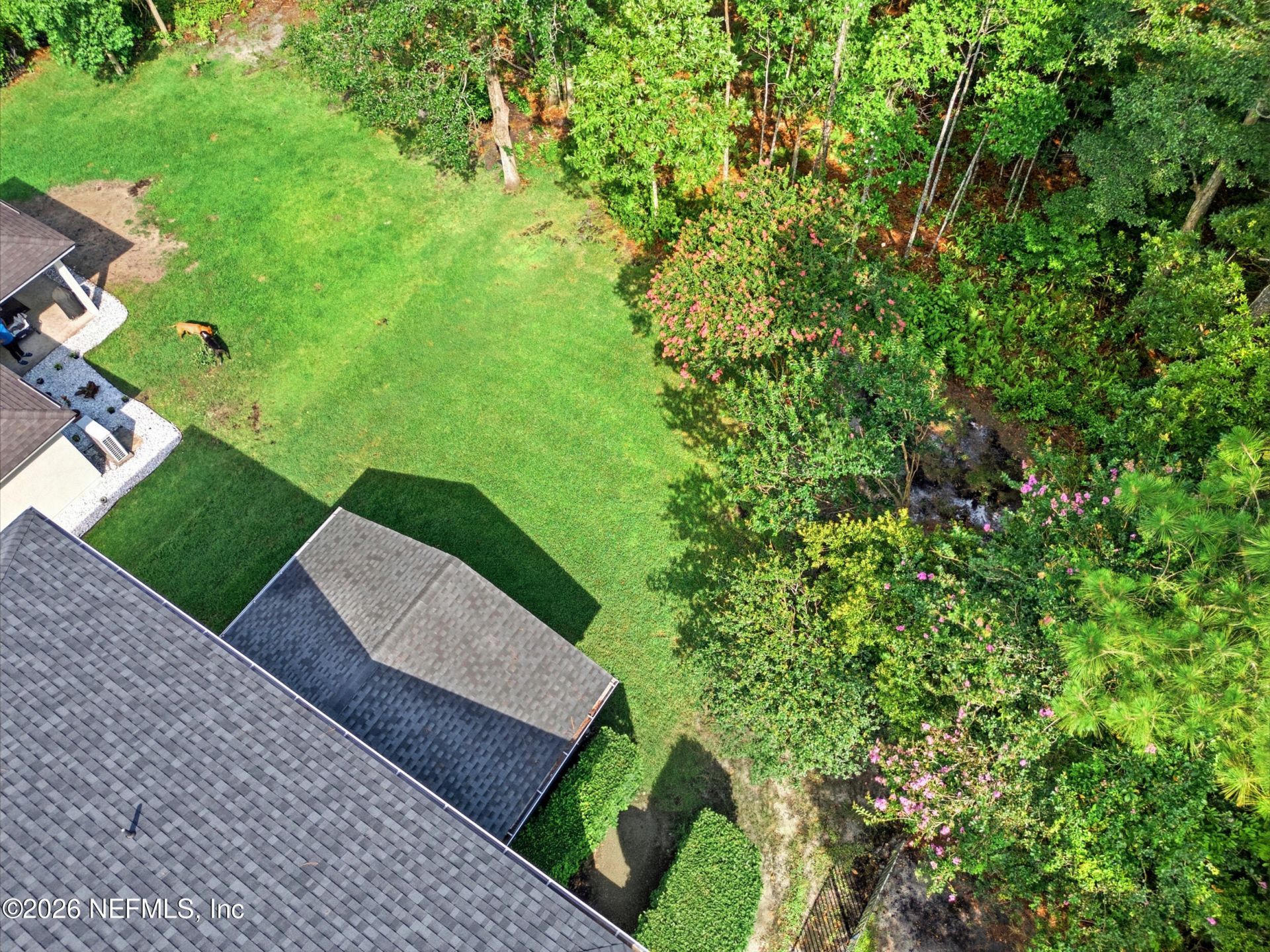 1555 Summerdown Way, Saint Johns, FL 32259 Photo