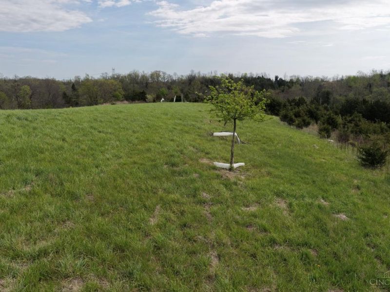 9951 Fishing Gut Road, Huntington Twp, OH 45144 Photo 10