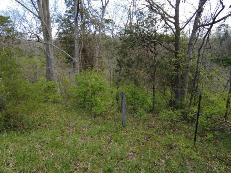 9951 Fishing Gut Road, Huntington Twp, OH 45144 Photo 21