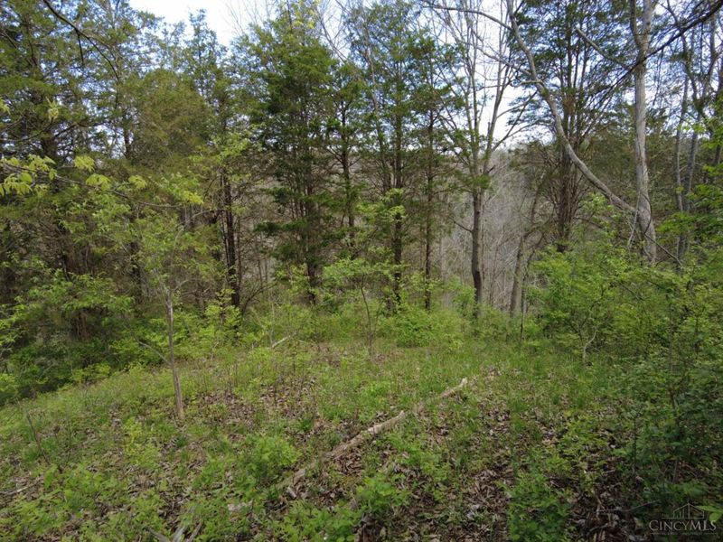 9951 Fishing Gut Road, Huntington Twp, OH 45144 Photo 23