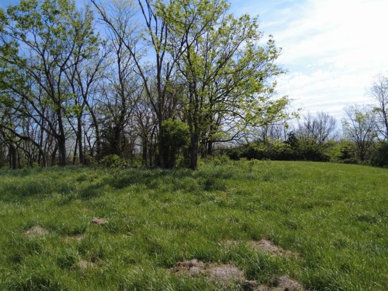 9951 Fishing Gut Road, Huntington Twp, OH 45144 Photo 29