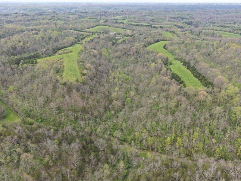 9951 Fishing Gut Road, Huntington Twp, OH 45144 Photo 44