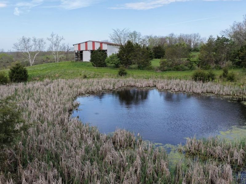 9951 Fishing Gut Road, Huntington Twp, OH 45144 Photo 6
