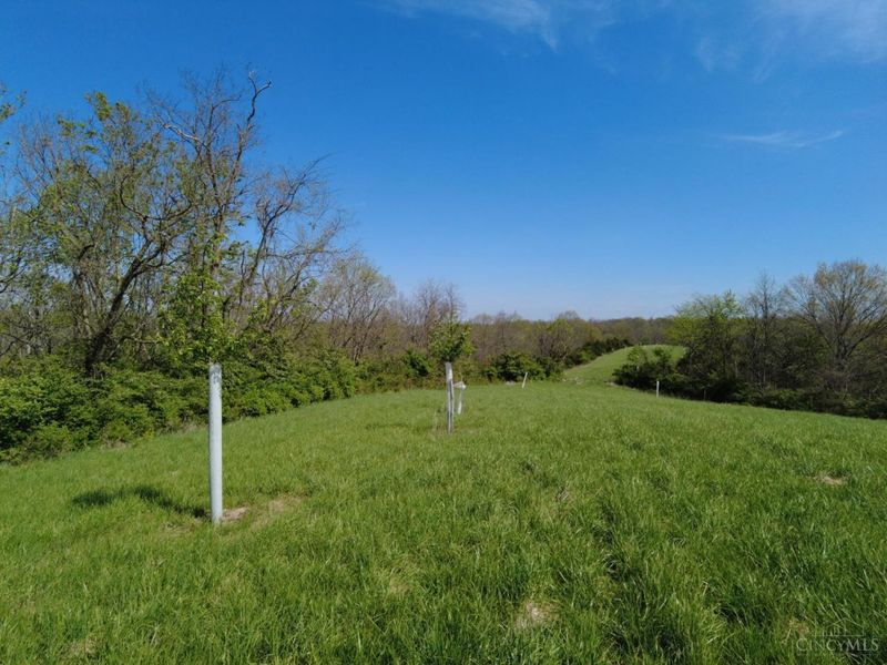 9951 Fishing Gut Road, Huntington Twp, OH 45144 Photo 7