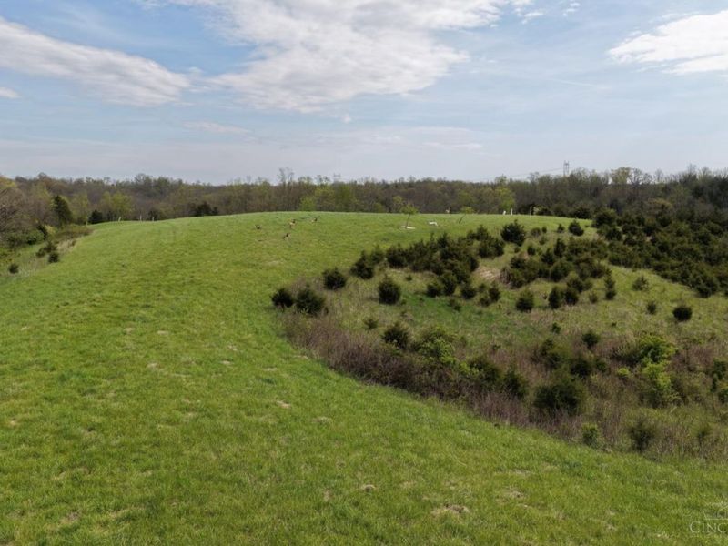 9951 Fishing Gut Road, Huntington Twp, OH 45144 Photo 8