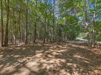 Lot 6 Nelson View Drive, Mount Pleasant, SC 29429