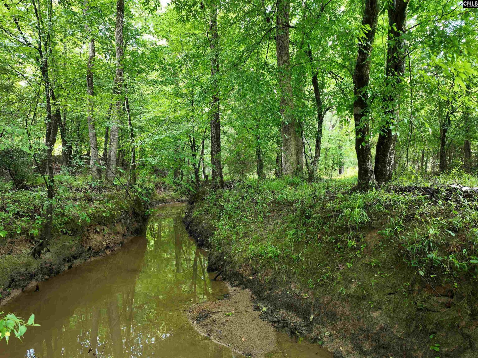 0 Rocky Branch Road  Photo 10