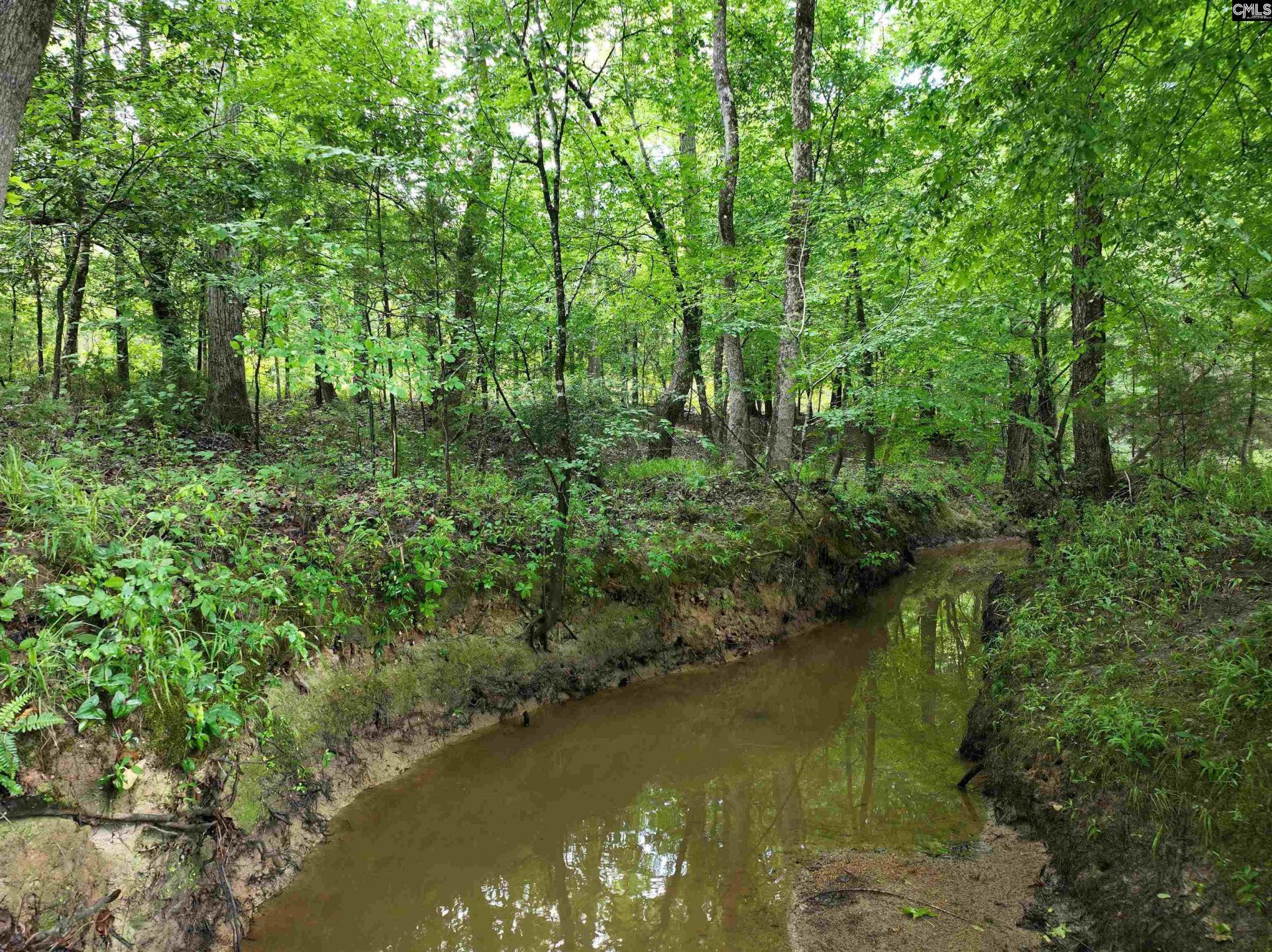 0 Rocky Branch Road  Photo 11