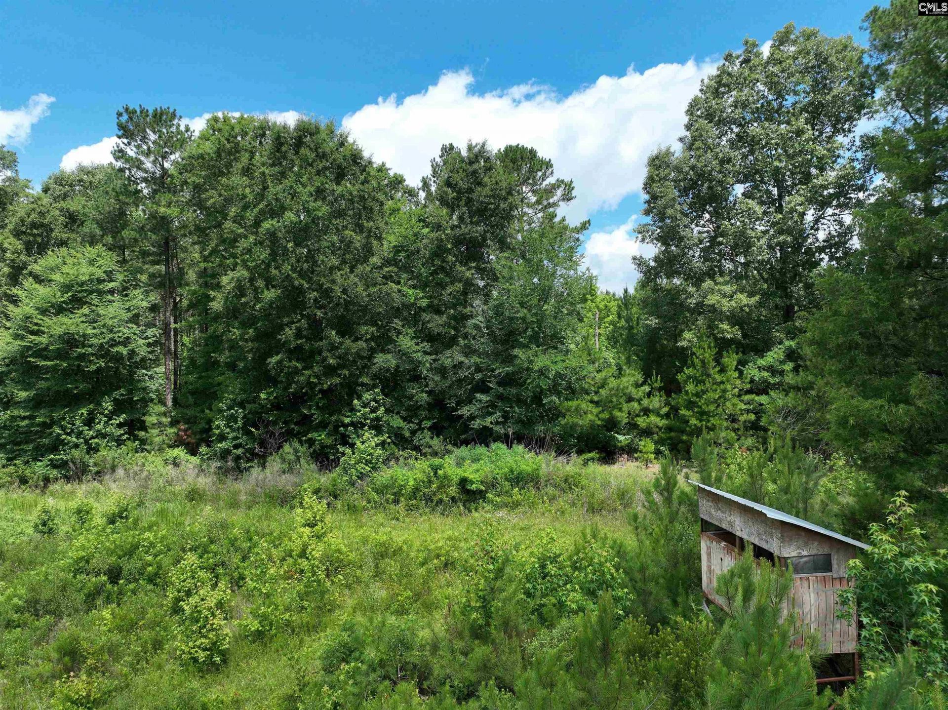 0 Rocky Branch Road  Photo 12