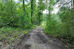 0 Rocky Branch Road  photo 4