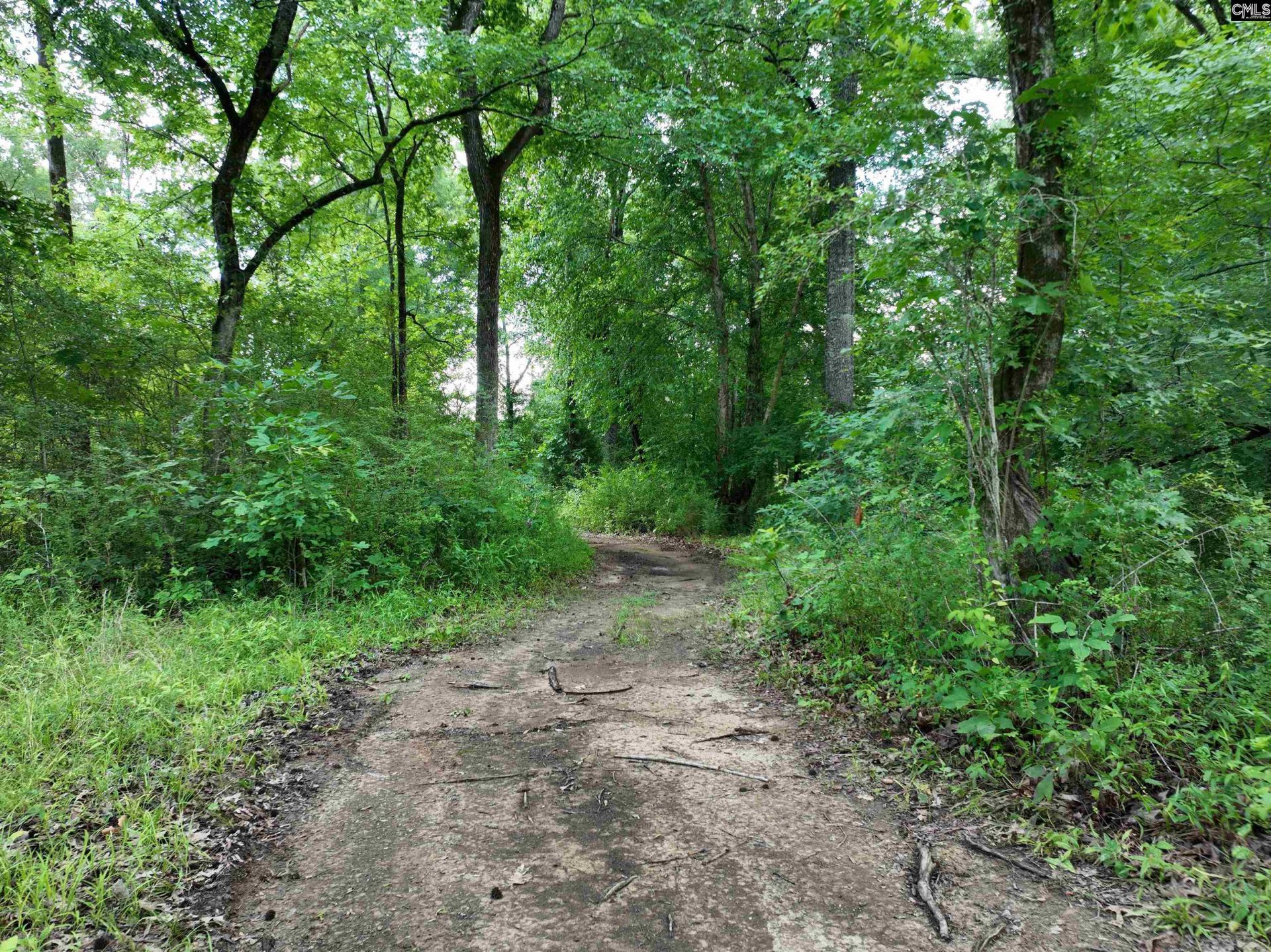 0 Rocky Branch Road  Photo 4