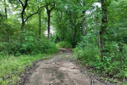 0 Rocky Branch Road  photo 4