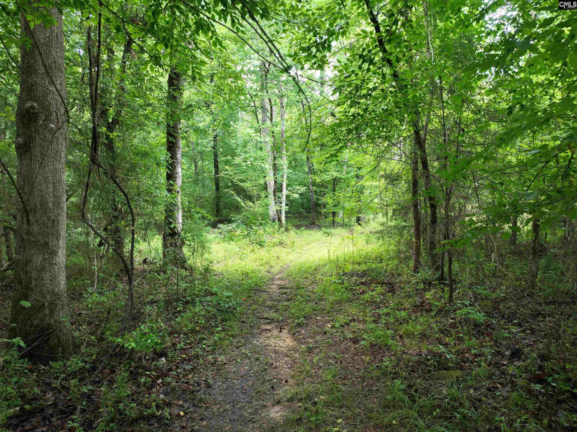 0 Rocky Branch Road  Photo 5